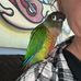 Deborah Riddle - Facebook