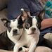 Deborah Riddle - Facebook