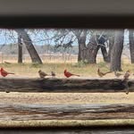 Deborah Riddle Ashby - @deb.riddleashby - Instagram
