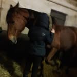 Deborah French Rider 🇫🇷 - @equin_13 - Instagram