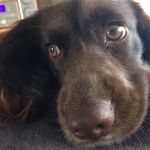 Deborah Ridge - @deborah_ridge_77 - Instagram