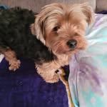 Deborah Ridgely - @deborahridgely - Instagram