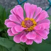 deborah ridgely - @deborahridgely - TikTok