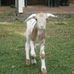 Debra Ridge - Facebook