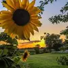 Deborah Riehl - @deborah.riehl - TikTok