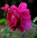 Debbie Rimamsikwe - Facebook