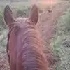 Deborah Ritchie101 - @deborahritchie101 - TikTok