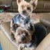 Debra Roark - Facebook