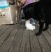 Deborah Robison - Facebook