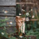 Deborah Robison - @debrobison52 - Instagram