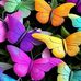 Deborah Roddy - Facebook