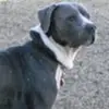 Deborah Diane Roden - @deborah.diane.rod - TikTok
