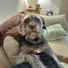 deborahroden255 - @deborahroden255 - TikTok