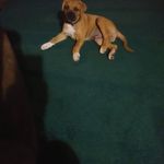 Deborah Rodney - @deborah.rodney.524 - Instagram