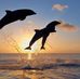 Deborah Rohr - Facebook