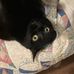 Deborah Roll - Facebook