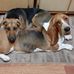 Deborah Rollins - Facebook