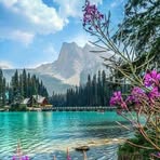 Deborah Rolle - Facebook