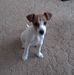 Deborah Rollo - Facebook