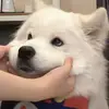 Roosevelt Deborah - @roosevelt.deborah - TikTok