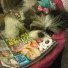 Deborah Iskoe Rosenb - @deborahiskoerosen - TikTok