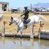Deborah Rosen - @wildrideeventers - TikTok