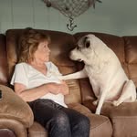 Deborah Congelosi Rosenberg - @debi_c_rosenberg - Instagram
