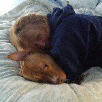 Deborah Rosenberg - @m_dog12 - Instagram