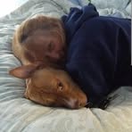 Deborah Rosenberg - Facebook