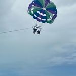Debra Roseborough Rountree - @birdiebogey - Instagram