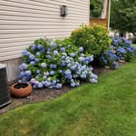 Debbie Moritza Rouse - @deborah.rouse.376 - Instagram