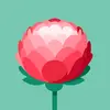 deborahrouse40 - @deborahrouse40 - TikTok