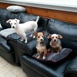 Déborah Roussel - @lablondasse62 - Instagram