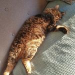 Deborah Roussel - @roussel6451 - Instagram