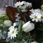 Deborah Rowan-Legg - @debrl2020 - Instagram