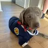 deborahrowan959 - @deborahrowan959 - TikTok