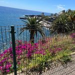 Deborah Rowland - @deborahrowland651 - Instagram