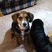 Deborah Rowland - Facebook