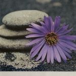 Deborah - @deborahroycecoaching - Instagram