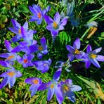 Deborah Rymer - Facebook