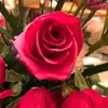 deborahmummel - @deborahmummel - TikTok