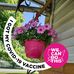 Deborah Rupert - Facebook