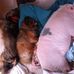 Debra Ruprecht - Facebook