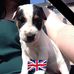 Deborah Rushton - Facebook