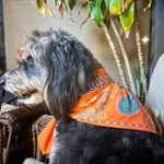 Deborah Macaluso-Rust - @debbygator1 - Instagram