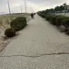 Deborah Rials - @deborah.rials - TikTok