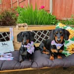 Deborah Ryder - @little.miss.frankie_ - Instagram