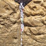 Debra Haupt Saltzman - @sjsaltzman8 - Instagram