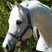 Deborah Sanger - Facebook