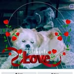 Deborah Sanger Turner - @deborahsangerturner - Instagram